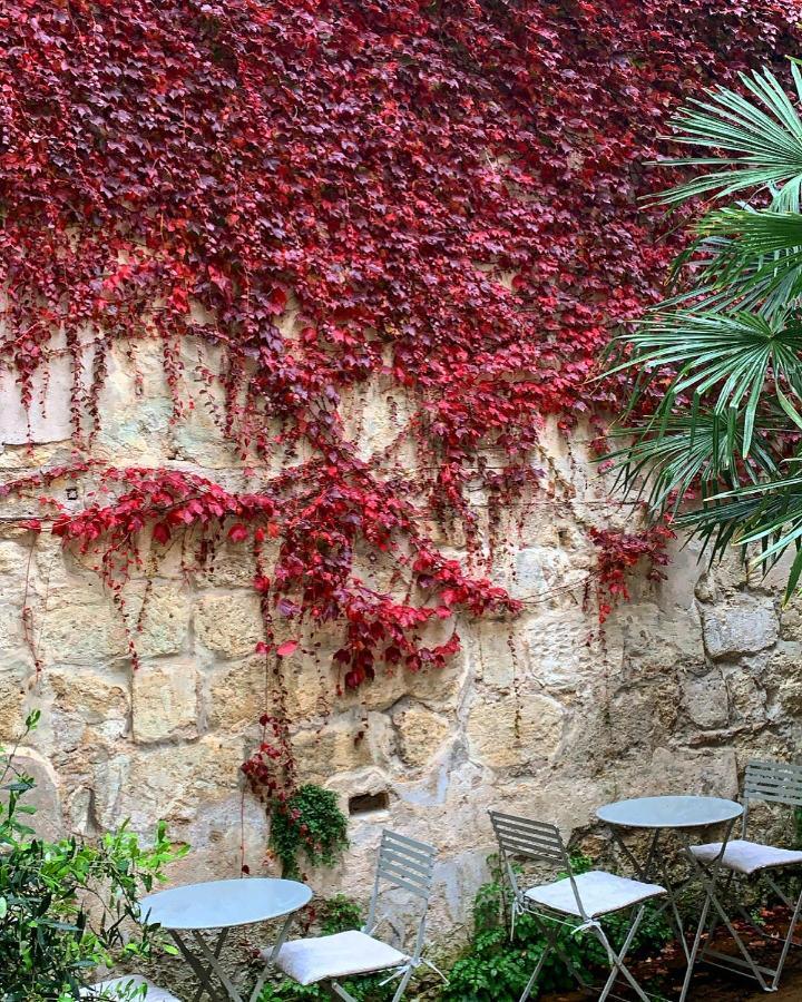 B&B La Maison Galiene Bordeaux Luaran gambar